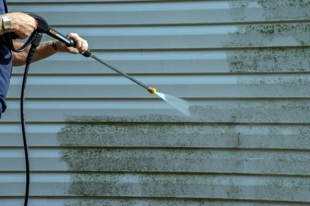 Best Roof Cleaning and Mildew Removal in Ashland City, TN