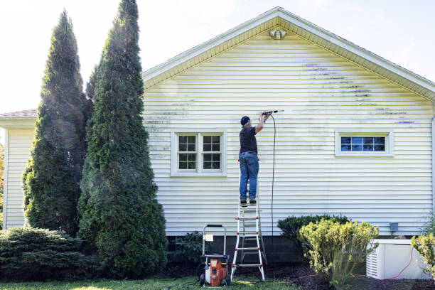 Best Vinyl Siding Pressure Washing in Ashland City, TN